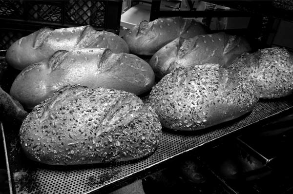 Brot & Brötchen